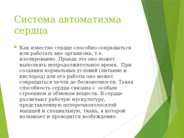 Система автоматизма сердца