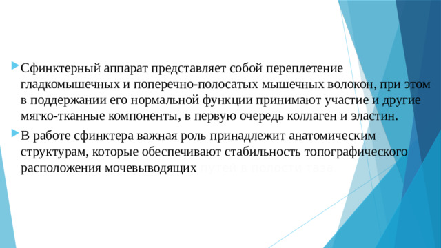 Сфинктерный аппарат представляет собой переплетение гладкомышечных и поперечно-полосатых мышечных волокон, при этом в поддержании его нормальной функции принимают участие и другие мягко-тканные компоненты, в первую очередь коллаген и эластин. В работе сфинктера важная роль принадлежит анатомическим структурам, которые обеспечивают стабильность топографического расположения мочевыводящих путей в полости таза.