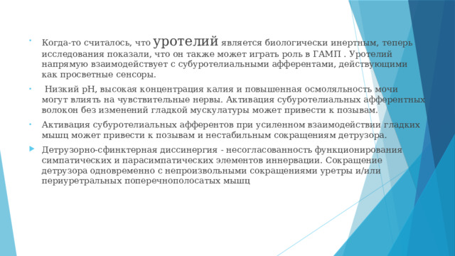 Когда-то считалось, что уротелий является биологически инертным, теперь исследования показали, что он также может играть роль в ГАМП . Уротелий напрямую взаимодействует с субуротелиальными афферентами, действующими как просветные сенсоры.  Низкий pH, высокая концентрация калия и повышенная осмоляльность мочи могут влиять на чувствительные нервы. Активация субуротелиальных афферентных волокон без изменений гладкой мускулатуры может привести к позывам. Активация субуротелиальных афферентов при усиленном взаимодействии гладких мышц может привести к позывам и нестабильным сокращениям детрузора. Детрузорно-сфинктерная диссинергия - несогласованность функционирования симпатических и парасимпатических элементов иннервации. Сокращение детрузора одновременно с непроизвольными сокращениями уретры и/или периуретральных поперечнополосатых мышц