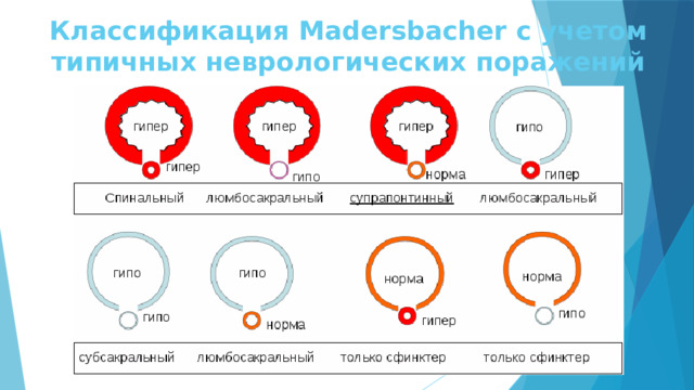 Классификация Madersbacher с учетом типичных неврологических поражений