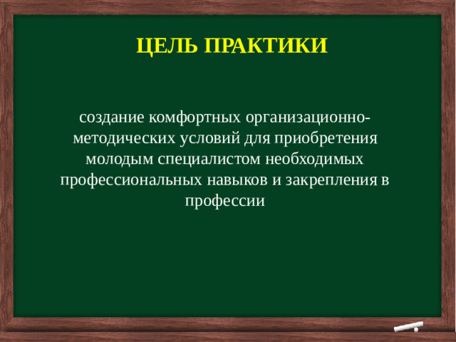        ЦЕЛЬ ПРАКТИКИ     создание комфортных организационно-методических условий для приобретения молодым специалистом необходимых профессиональных навыков и закрепления в профессии