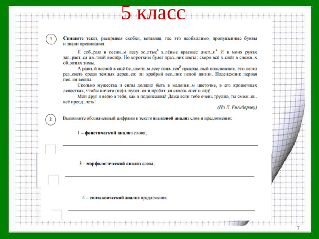 5 класс