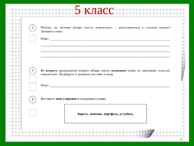 5 класс