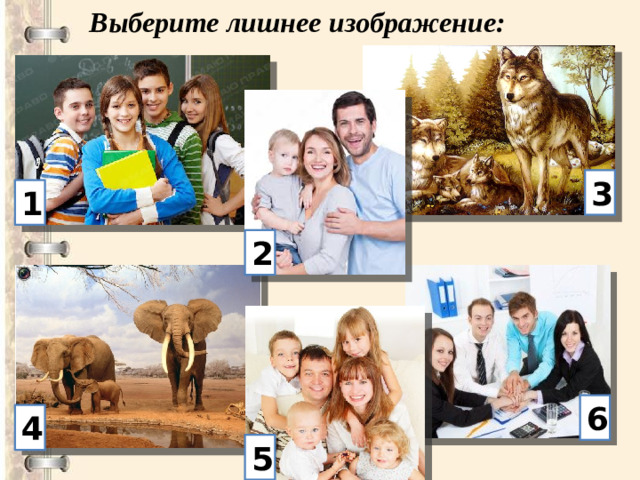 Выберите лишнее изображение: 3 1 2 6 4 5