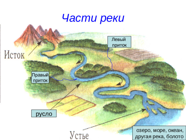 Части реки русло  озеро, море, океан, другая река, болото