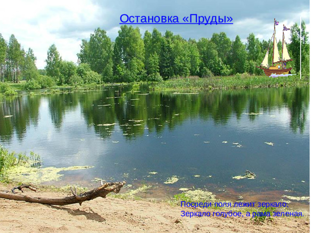 Остановка «Пруды» Посреди поля лежит зеркало, Зеркало голубое, а рама зеленая.