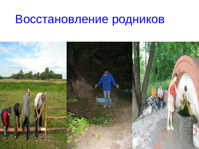 Восстановление родников