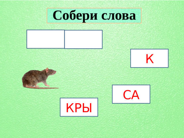 Собери слова К СА КРЫ