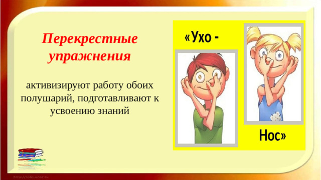 Перекрестные упражнения   активизируют работу обоих полу­шарий, подготавливают к усвоению знаний