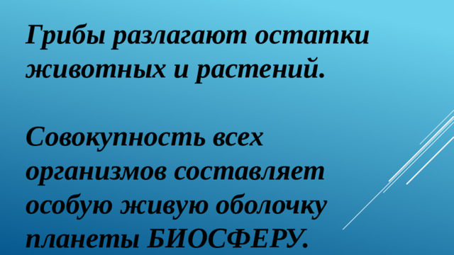 Грибы разлагают остатки животных и растений.  Совокупность всех организмов составляет особую живую оболочку планеты БИОСФЕРУ.