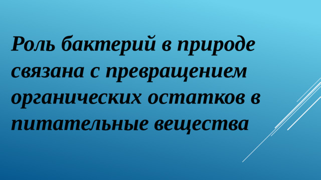 Роль бактерий в природе связана с превращением органических остатков в питательные вещества