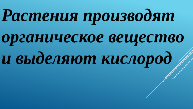 Растения производят органическое вещество и выделяют кислород