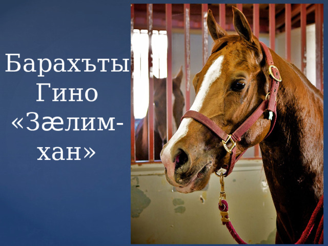 Барахъты Гино «З ӕ лим-хан»
