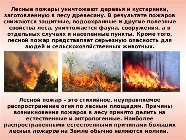 Лесные пожары уничтожают деревья и кустарники, заготовленную в лесу древесину. В результате пожаров снижаются защитные, водоохранные и другие полезные свойства леса, уничтожается фауна, сооружения, а в отдельных случаях и населенные пункты. Кроме того, лесной пожар представляет серьезную опасность для людей и сельскохозяйственных животных.       Лесной пожар – это стихийное, неуправляемое распространение огня по лесным площадям. Причины возникновения пожаров в лесу принято делить на естественные и антропогенные. Наиболее распространенными естественными причинами больших лесных пожаров на Земле обычно являются молнии.