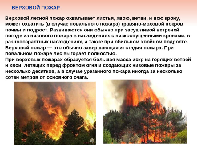 ВЕРХОВОЙ ПОЖАР  Верховой лесной пожар охватывает листья, хвою, ветви, и всю крону, может охватить (в случае повального пожара) травяно-моховой покров почвы и подрост. Развиваются они обычно при засушливой ветреной погоде из низового пожара в насаждениях с низкоопущенными кронами, в разновозрастных насаждениях, а также при обильном хвойном подросте. Верховой пожар — это обычно завершающаяся стадия пожара. При повальном пожаре лес выгорает полностью. При верховых пожарах образуется большая масса искр из горящих ветвей и хвои, летящих перед фронтом огня и создающих низовые пожары за несколько десятков, а в случае ураганного пожара иногда за несколько сотен метров от основного очага.