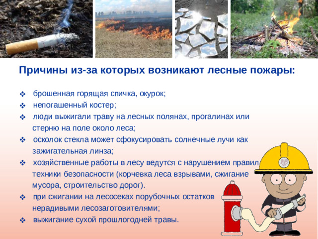 Причины из-за которых возникают лесные пожары:   брошенная горящая спичка, окурок;  непогашенный костер;  люди выжигали траву на лесных полянах, прогалинах или  стерню на поле около леса;  осколок стекла может сфокусировать солнечные лучи как  зажигательная линза;  хозяйственные работы в лесу ведутся с нарушением правил  техники безопасности (корчевка леса взрывами, сжигание  мусора, строительство дорог).  при сжигании на лесосеках порубочных остатков  нерадивыми лесозаготовителями;  выжигание сухой прошлогодней травы.