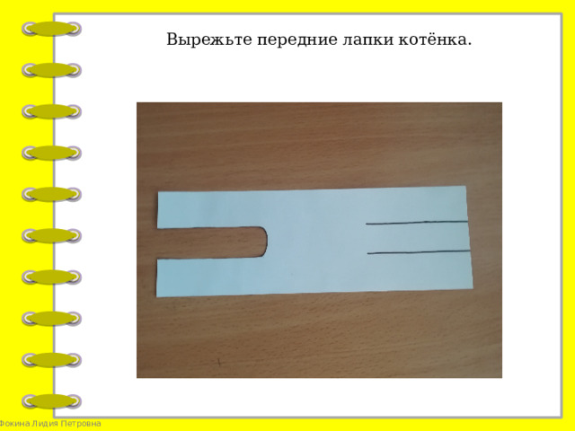Вырежьте передние лапки котёнка.