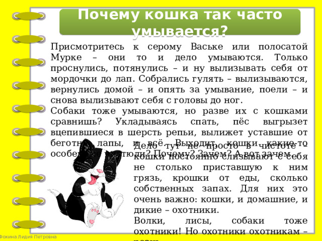 Почему кошка так часто умывается? Присмотритесь к серому Ваське или полосатой Мурке – они то и дело умываются. Только проснулись, потянулись – и ну вылизывать себя от мордочки до лап. Собрались гулять – вылизываются, вернулись домой – и опять за умывание, поели – и снова вылизывают себя с головы до ног. Собаки тоже умываются, но разве их с кошками сравнишь? Укладываясь спать, пёс выгрызет вцепившиеся в шерсть репьи, вылижет уставшие от беготни лапы, и всё. Выходит, кошки какие-то особенные чистюли? Почему? Зачем? А вот зачем. Дело тут не просто в чистоте – кошки постоянно слизывают с себя не столько приставшую к ним грязь, крошки от еды, сколько собственных запах. Для них это очень важно: кошки, и домашние, и дикие – охотники. Волки, лисы, собаки тоже охотники! Но охотники охотникам – рознь.
