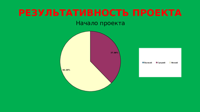 РЕЗУЛЬТАТИВНОСТЬ ПРОЕКТА Начало проекта