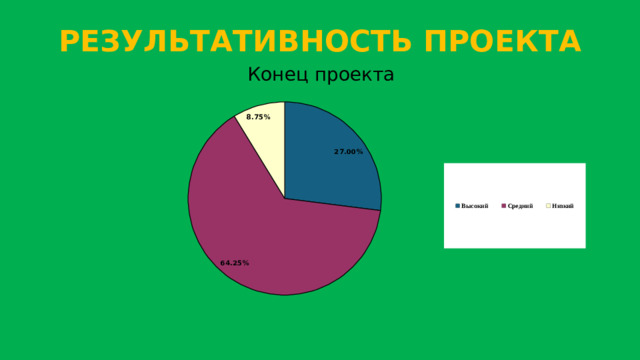 РЕЗУЛЬТАТИВНОСТЬ ПРОЕКТА Конец проекта