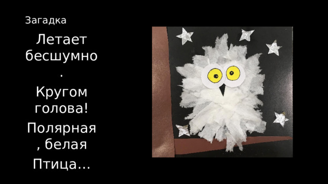 Загадка Летает бесшумно. Кругом голова! Полярная, белая Птица…