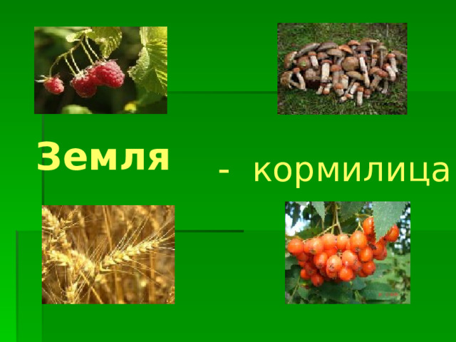Земля   -  кормилица