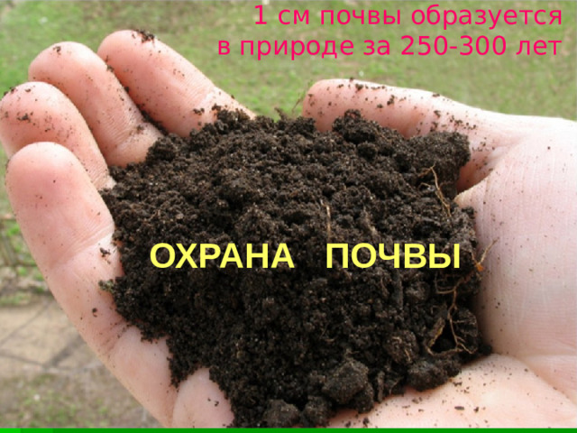1 см почвы образуется  в природе за 250-300 лет ОХРАНА ПОЧВЫ