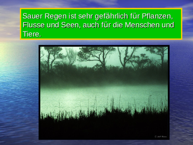 Sauer Regen ist sehr gef ä hrlich f ü r Pflanzen, Flusse und Seen, auch f ü r die Menschen und Tiere.