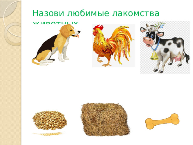 Назови любимые лакомства животных