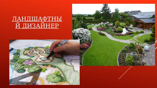 ЛАНДШАФТНЫЙ ДИЗАЙНЕР