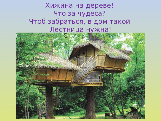 Хижина на дереве! Что за чудеса? Чтоб забраться, в дом такой Лестница нужна!