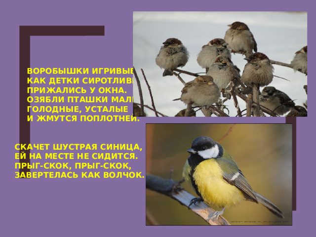 ВОРОБЫШКИ ИГРИВЫЕ,  КАК ДЕТКИ СИРОТЛИВЫЕ,  ПРИЖАЛИСЬ У ОКНА.  ОЗЯБЛИ ПТАШКИ МАЛЫЕ,  ГОЛОДНЫЕ, УСТАЛЫЕ  И ЖМУТСЯ ПОПЛОТНЕЙ. СКАЧЕТ ШУСТРАЯ СИНИЦА, ЕЙ НА МЕСТЕ НЕ СИДИТСЯ. ПРЫГ-СКОК, ПРЫГ-СКОК, ЗАВЕРТЕЛАСЬ КАК ВОЛЧОК.