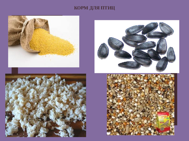 КОРМ ДЛЯ ПТИЦ