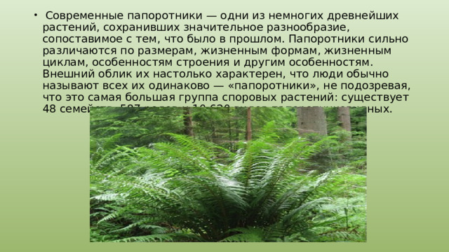 Современные папоротники — одни из немногих древнейших растений, сохранивших значительное разнообразие, сопоставимое с тем, что было в прошлом. Папоротники сильно различаются по размерам, жизненным формам, жизненным циклам, особенностям строения и другим особенностям. Внешний облик их настолько характерен, что люди обычно называют всех их одинаково — «папоротники», не подозревая, что это самая большая группа споровых растений: существует 48 семейств, 587 родов и 10 620 видов папоротниковидных.
