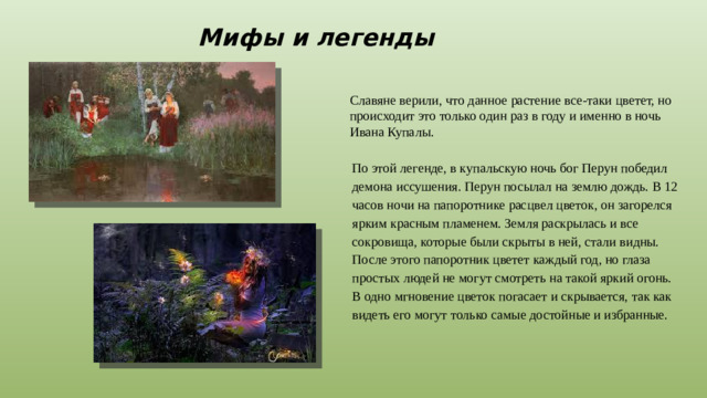 Мифы и легенды Славяне верили, что данное растение все-таки цветет, но происходит это только один раз в году и именно в ночь Ивана Купалы. По этой легенде, в купальскую ночь бог Перун победил демона иссушения. Перун посылал на землю дождь. В 12 часов ночи на папоротнике расцвел цветок, он загорелся ярким красным пламенем. Земля раскрылась и все сокровища, которые были скрыты в ней, стали видны. После этого папоротник цветет каждый год, но глаза простых людей не могут смотреть на такой яркий огонь. В одно мгновение цветок погасает и скрывается, так как видеть его могут только самые достойные и избранные.