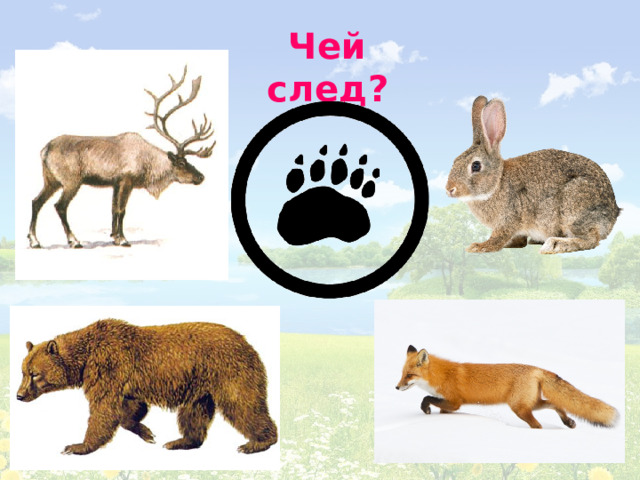 Чей след?