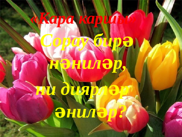 «Кара каршы» Сорау бирә нәниләр, ни диярләр әниләр?