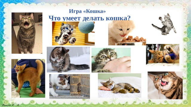 Игра «Кошка» Что умеет делать кошка?  