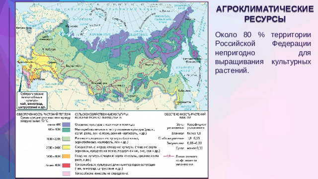 АГРОКЛИМАТИЧЕСКИЕ РЕСУРСЫ Около 80 % территории Российской Федерации непригодно для выращивания культурных растений.