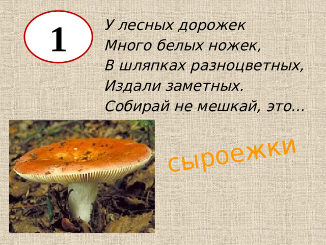 сыроежки 1 У лесных дорожек Много белых ножек, В шляпках разноцветных, Издали заметных. Собирай не мешкай, это…