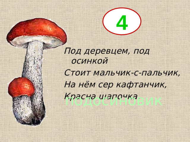 4 Под деревцем, под осинкой Стоит мальчик-с-пальчик, На нём сер кафтанчик, Красна шапочка. подосиновик