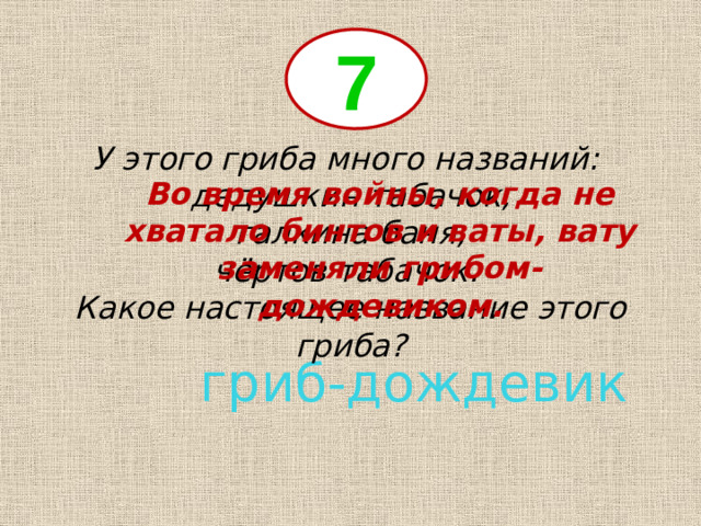 7 У этого гриба много названий: дедушкин табачок,  галкина баня, чёртов табачок. Какое настоящее название этого гриба? Во время войны, когда не хватало бинтов и ваты, вату заменяли грибом-дождевиком. гриб-дождевик