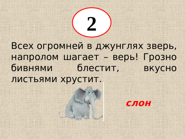 2 Всех огромней в джунглях зверь, напролом шагает – верь! Грозно бивнями блестит, вкусно листьями хрустит. слон