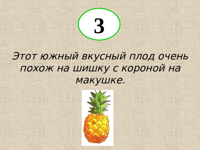 3 Этот южный вкусный плод очень похож на шишку с короной на макушке.