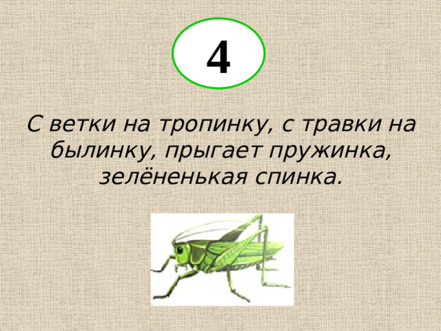 4 С ветки на тропинку, с травки на былинку, прыгает пружинка, зелёненькая спинка.