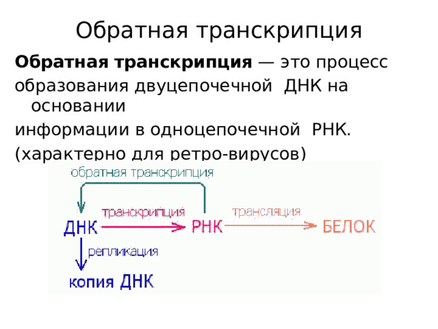 Обратная транскрипция Обратная транскрипция  — это процесс образования двуцепочечной ДНК на основании информации в одноцепочечной РНК.  (характерно для ретро-вирусов)