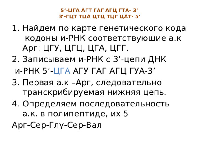 5’-ЦГА АГТ ГАГ АГЦ ГТА- 3’  3’-ГЦТ ТЦА ЦТЦ ТЦГ ЦАТ- 5’   Найдем по карте генетического кода кодоны и-РНК соответствующие а.к Арг: ЦГУ, ЦГЦ, ЦГА, ЦГГ. Записываем и-РНК с 3’-цепи ДНК  и-РНК 5’- ЦГА АГУ ГАГ АГЦ ГУА-3’ 3. Первая а.к –Арг, следовательно транскрибируемая нижняя цепь. 4. Определяем последовательность а.к. в полипептиде, их 5 Арг-Сер-Глу-Сер-Вал