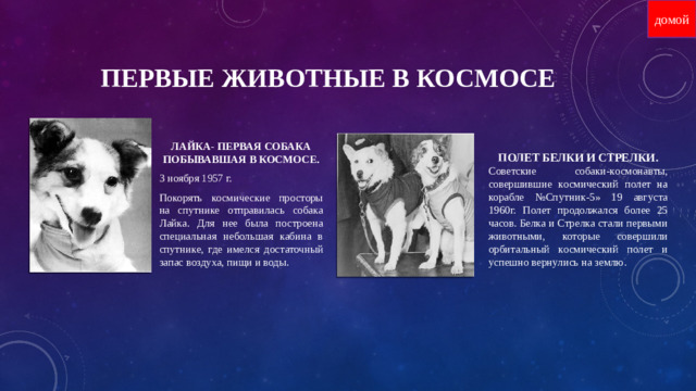 домой Первые животные в космосе ЛАЙКА- ПЕРВАЯ СОБАКА ПОБЫВАВШАЯ В КОСМОСЕ. 3 ноября 1957 г. Покорять космические просторы на спутнике отправилась собака Лайка. Для нее была построена специальная небольшая кабина в спутнике, где имелся достаточный запас воздуха, пищи и воды. ПОЛЕТ БЕЛКИ И СТРЕЛКИ. Советские собаки-космонавты, совершившие космический полет на корабле №Спутник-5» 19 августа 1960г. Полет продолжался более 25 часов. Белка и Стрелка стали первыми животными, которые совершили орбитальный космический полет и успешно вернулись на землю.