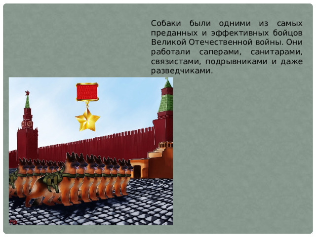 Собаки были одними из самых преданных и эффективных бойцов Великой Отечественной войны. Они работали саперами, санитарами, связистами, подрывниками и даже разведчиками.