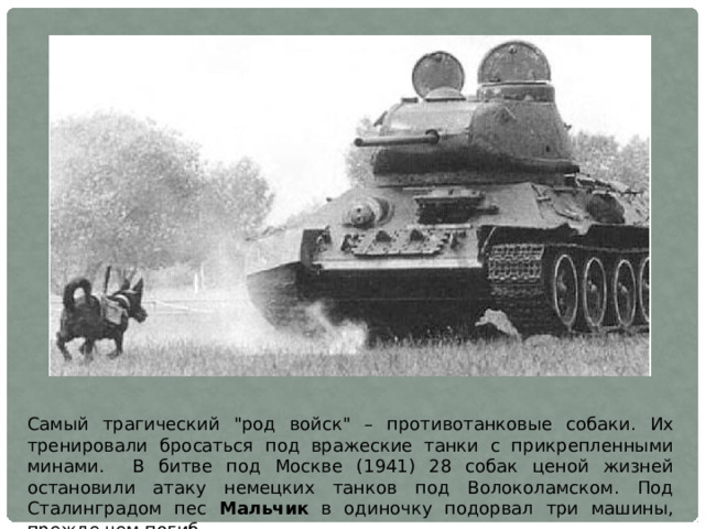 Самый трагический 